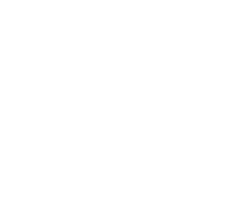 Data and Monitoring icon
