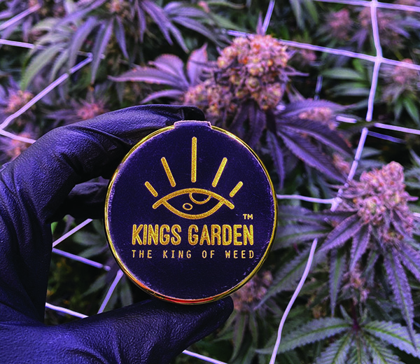 Kings Garden Inc photo with logo in front of plants
